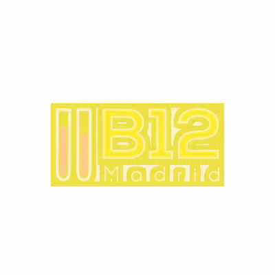Logo B12